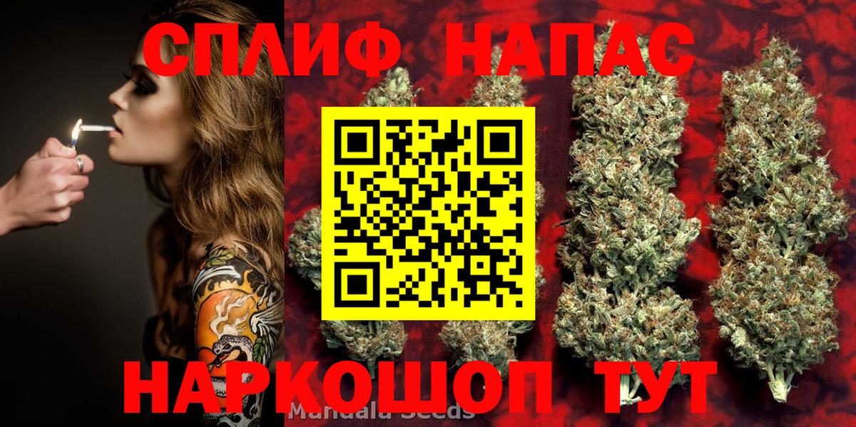 Конопля MAZAR  Каннабис семена  Конопля MAZAR  Канабис White Widow  Осинники  Вход с VPN 